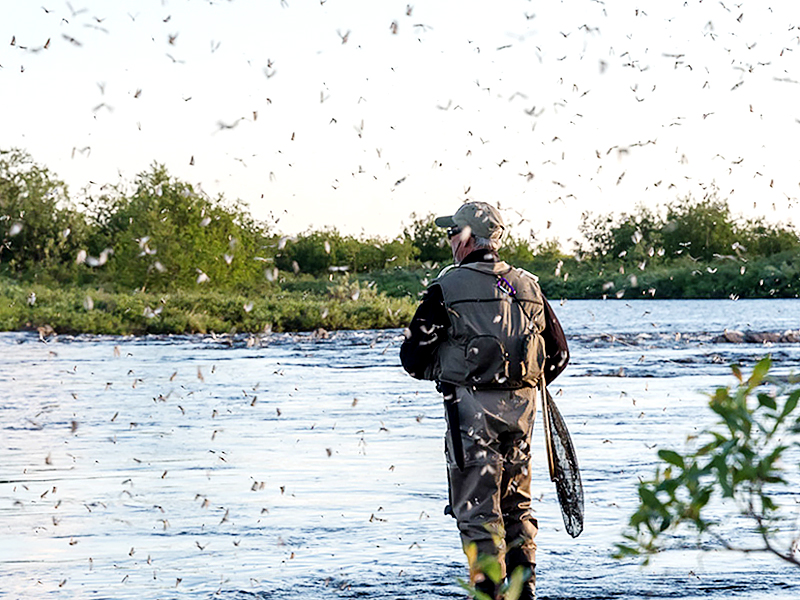 Как бороться с комарами на рыбалке? Все способы.