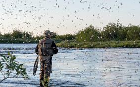 Как бороться с комарами на рыбалке?